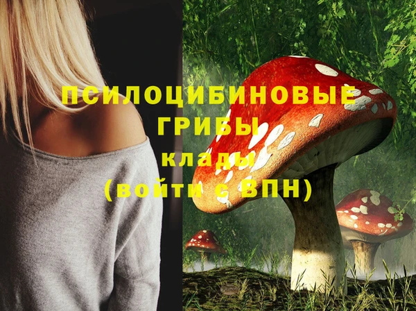 прущий лед Белокуриха
