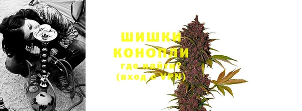 прущие грибы Беломорск