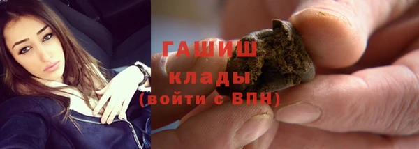 прущие грибы Беломорск
