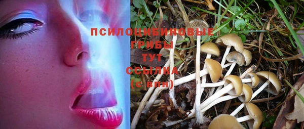 марки nbome Баксан