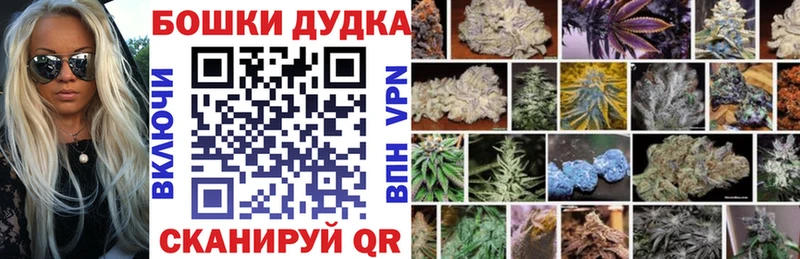 Марихуана план  Шахунья 